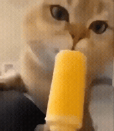 Cat Eating Yellow Popsicle Close Up GIF
