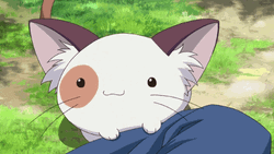 Cat Eating Yummy Human Food GIF