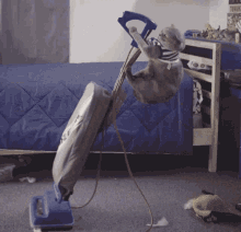 Cat Epic Cleaning Failure GIF