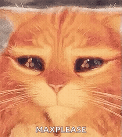 Cat Eyes Closed Saying Max Please GIF