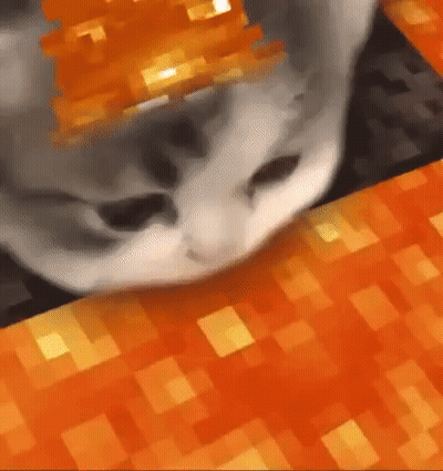 Cat Face Close Up Minecraft Texture GIF