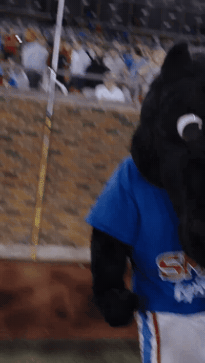 Cat Face Close Up GIF