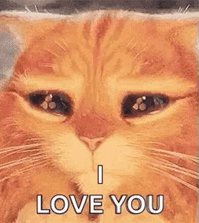 Cat Face Eyes Closed Saying I Love You GIF