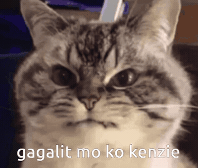 Cat Face Gagalit Mo Ko Kenzie
