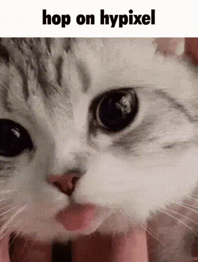 Cat Face Hop On Hypixel GIF