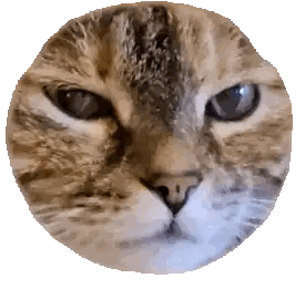 Cat Face Inside Circle Sticker