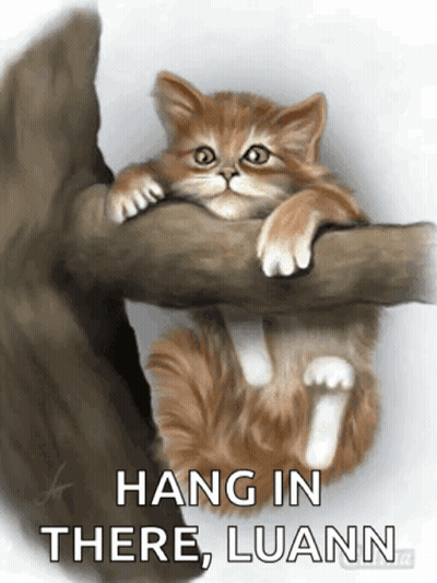 Cat Face Miaou GIF