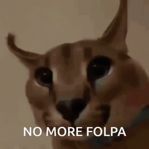 Cat Face No More Folpa GIF