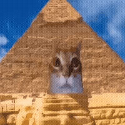 Cat Face Painted On Pyramid GIF