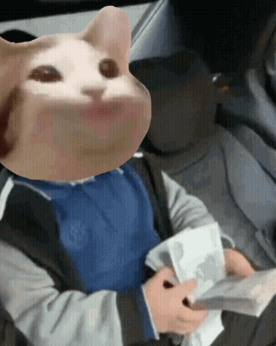 Cat Face Person Holding Money GIF