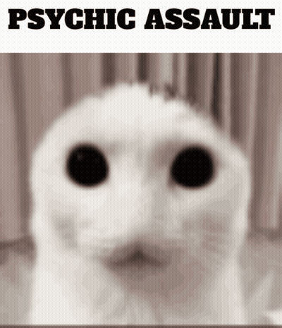 Cat Face Psychic Assault GIF