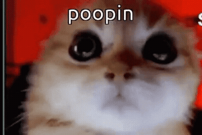 Cat Face Red Poopin GIF
