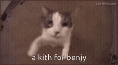 Cat Face Saying A Kith For Benjy GIF