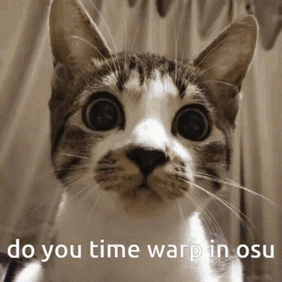 Cat Face Saying Do You Time Warp In Osu GIF
