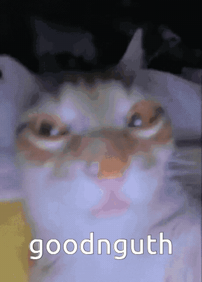 Cat Face Saying Goodnguth GIF