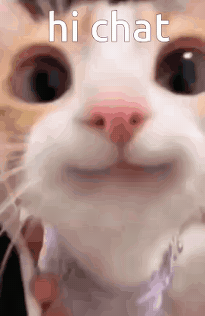 Cat Face Saying Hi Chat GIF