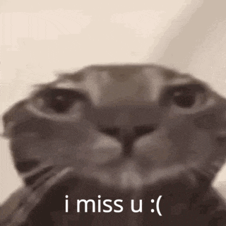 Cat Face Saying I Miss U GIF