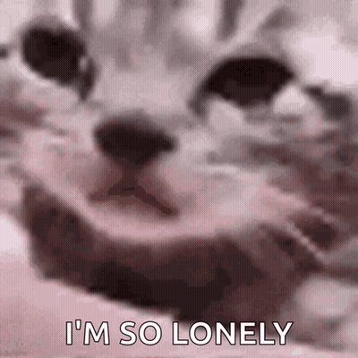 Cat Face Saying Im So Lonely GIF