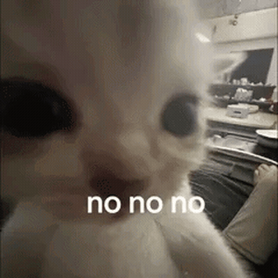 Cat Face Saying No No No GIF
