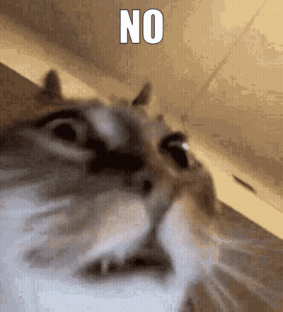 Cat Face Saying No GIF