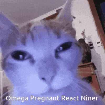 Cat Face Saying Omega Pregnant React Niner GIF