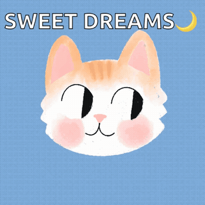 Cat Face Saying Sweet Dreams GIF