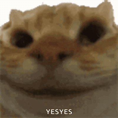Cat Face Saying Yes Yes GIF