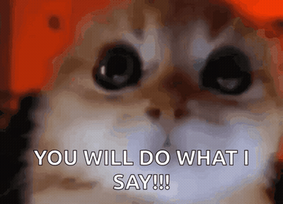 Cat Face Saying You Will Do What I Say GIF