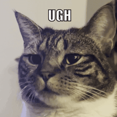 Cat Face Ugh GIF