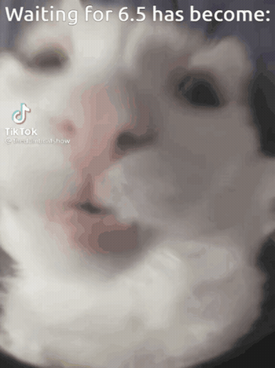 Cat Face Waiting For 6.5 Has Become GIF
