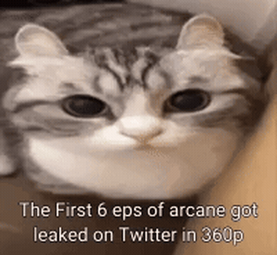 Cat Face With Arcane Leak Text GIF