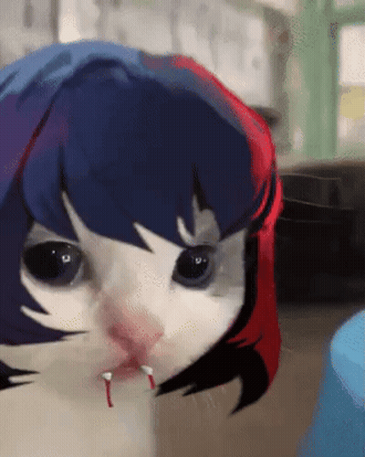 Cat Face With Cartoon Character Head GIF