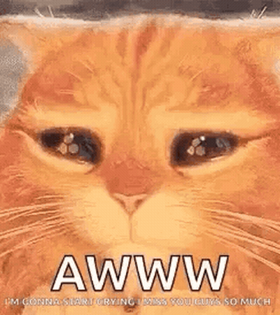 Aww GIFs