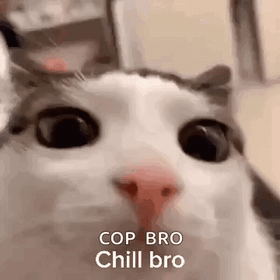 Cat Face With Cop Bro Chill Bro GIF