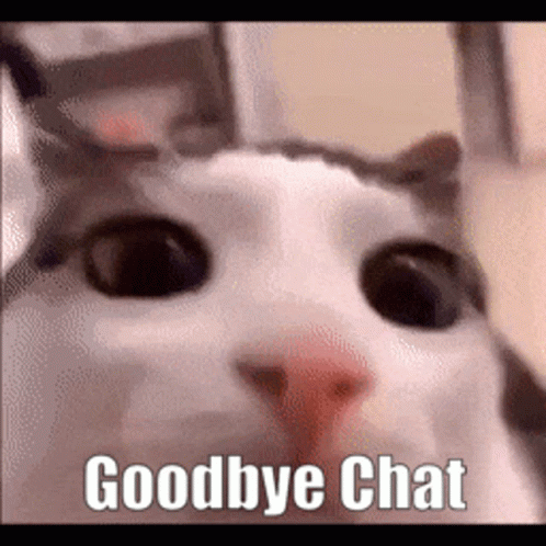 Cat Face With Goodbye Chat Above GIF