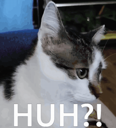Cat Face With Huh GIF