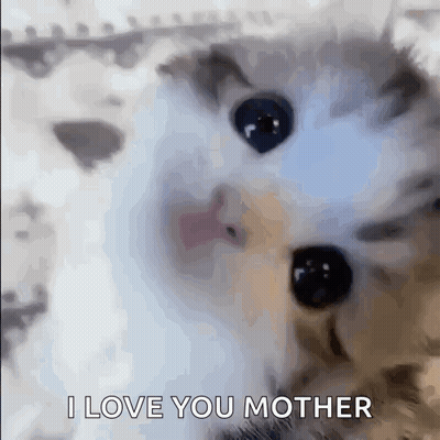 Cat Face With I Love You Mother GIF
