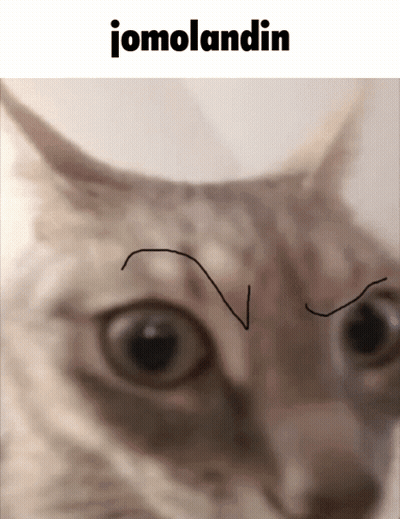 Cat Face With Jomolandin GIF