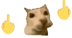Cat Face With Middle Fingers Sticker