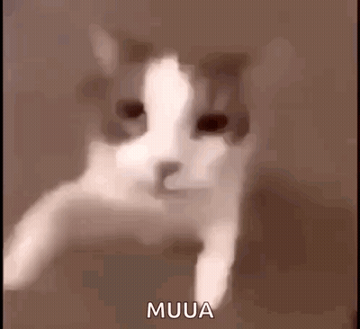 Cat Face With Muua Text GIF