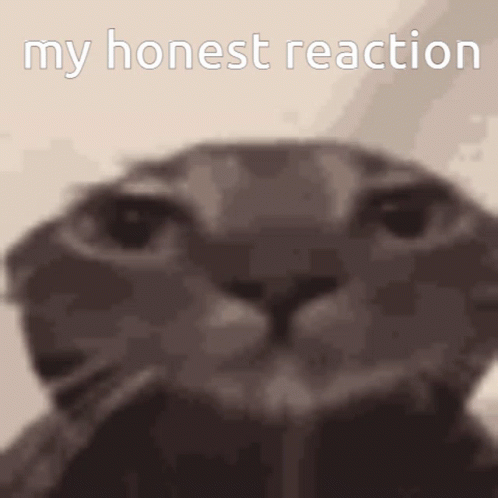 Cat Face With My Honest Reaction Text GIF