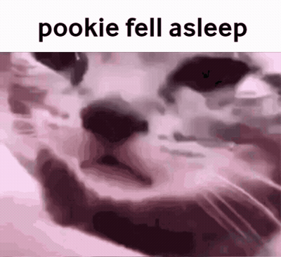 Cat Face With Pookie Fell Asleep GIF