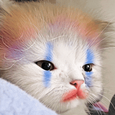 Cat Face With Red And Blue Paint GIF