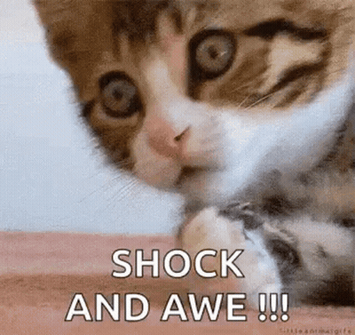 Cat Face With Shock And Awe GIF