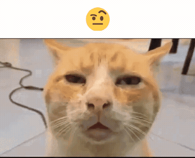Cat Face With Smiley Behind GIF