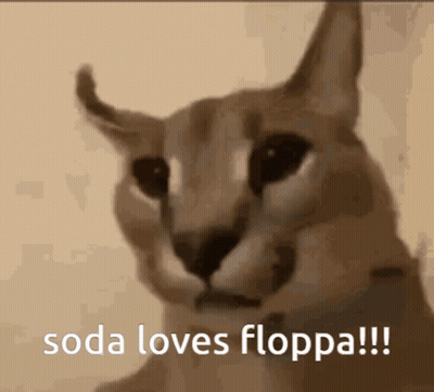 Cat Face With Soda Loves Floppa