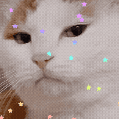 Cat Face With Stars GIF