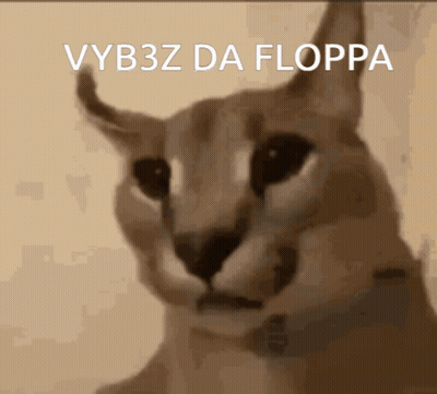 Cat Face with Vybz Da Floppa Text
