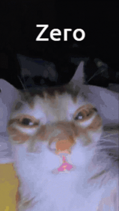 Cat Face Zero GIF