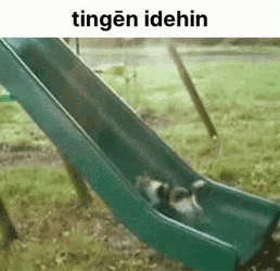 Cat Fail To Climb The Slide GIF